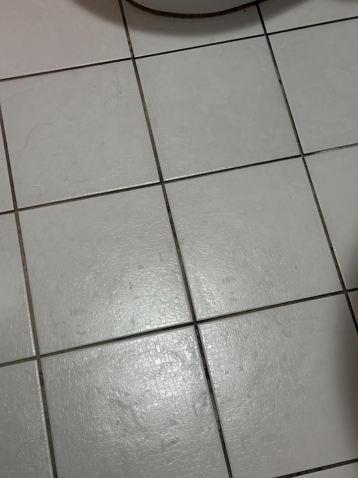 泥作/水泥施工案件圖片