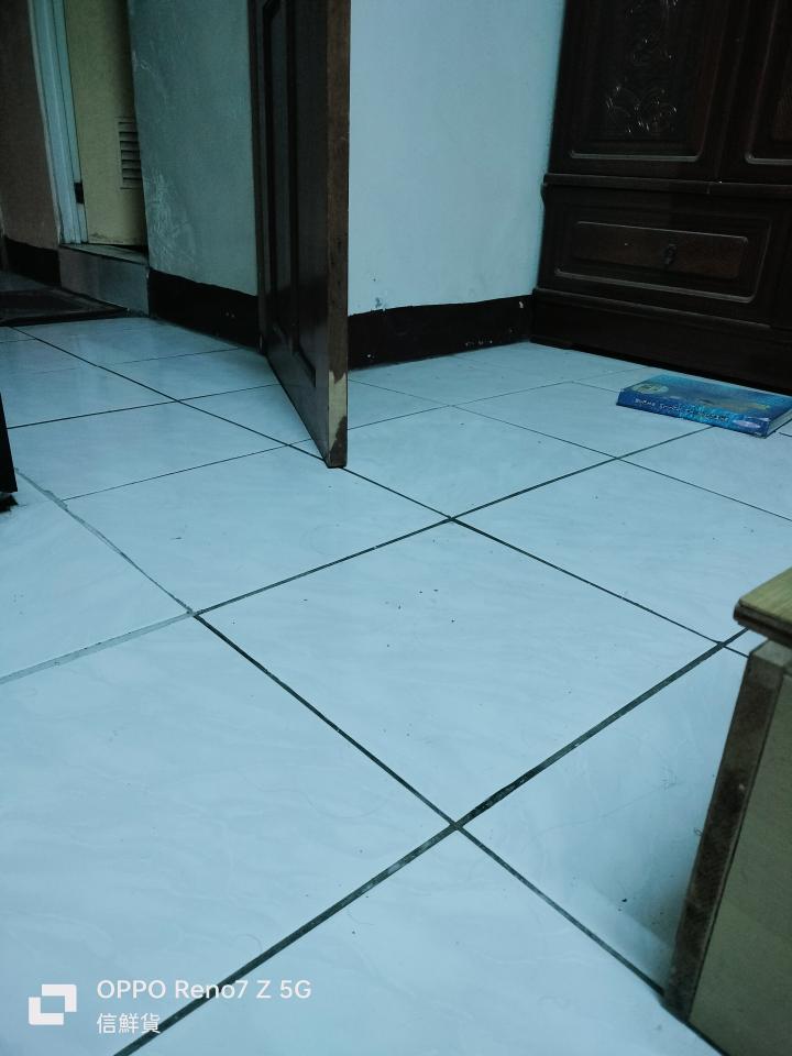 磁磚修補案件圖片