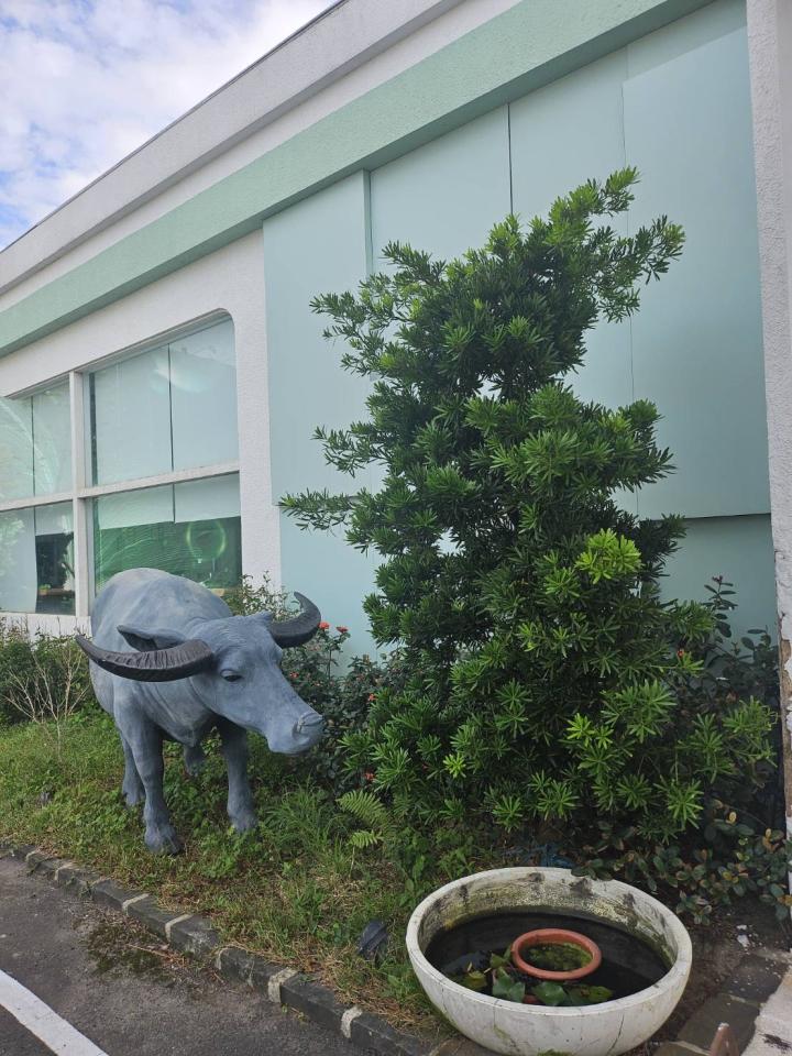 園藝維護案件圖片