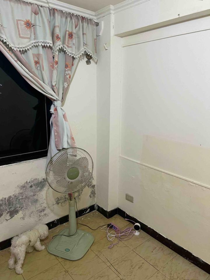 木工施工案件圖片