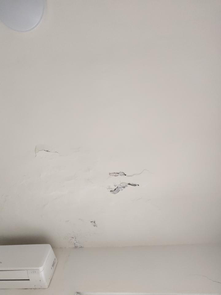 壁癌處理案件圖片