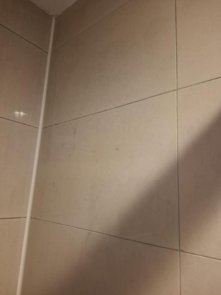 磁磚清潔案件圖片