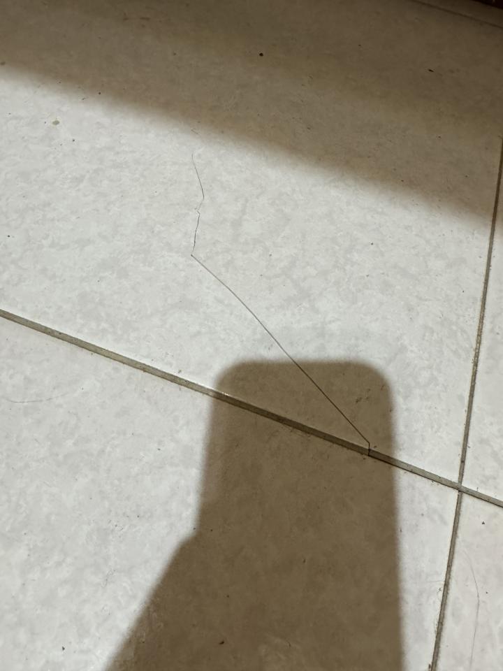 磁磚修補案件圖片