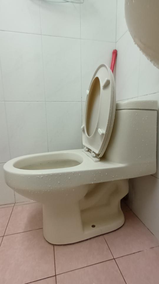 馬桶裝修案件圖片