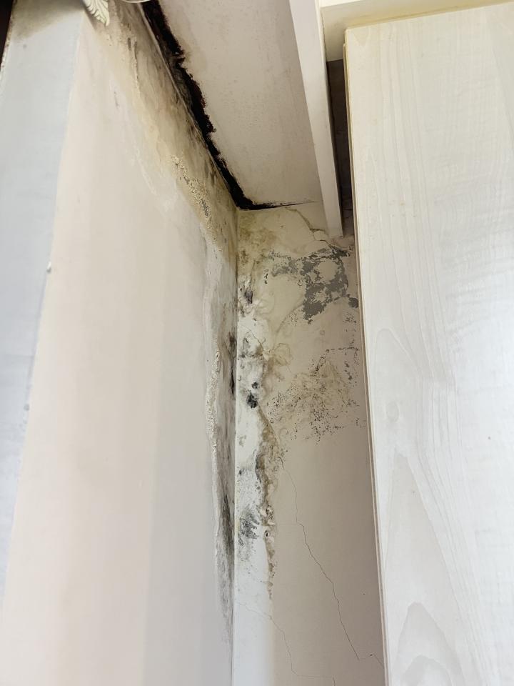 漏水處理案件圖片