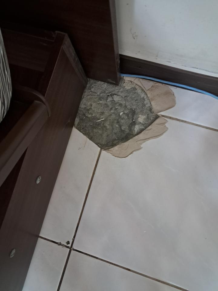 磁磚修補案件圖片