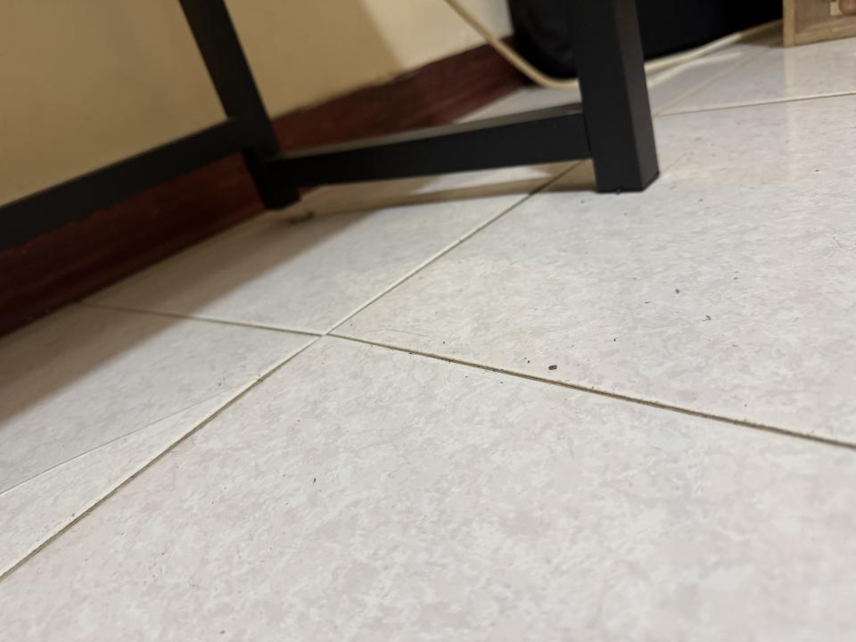 磁磚修補案件圖片