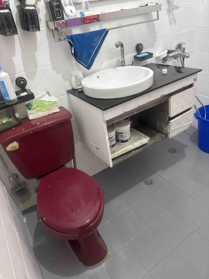 馬桶裝修案件圖片