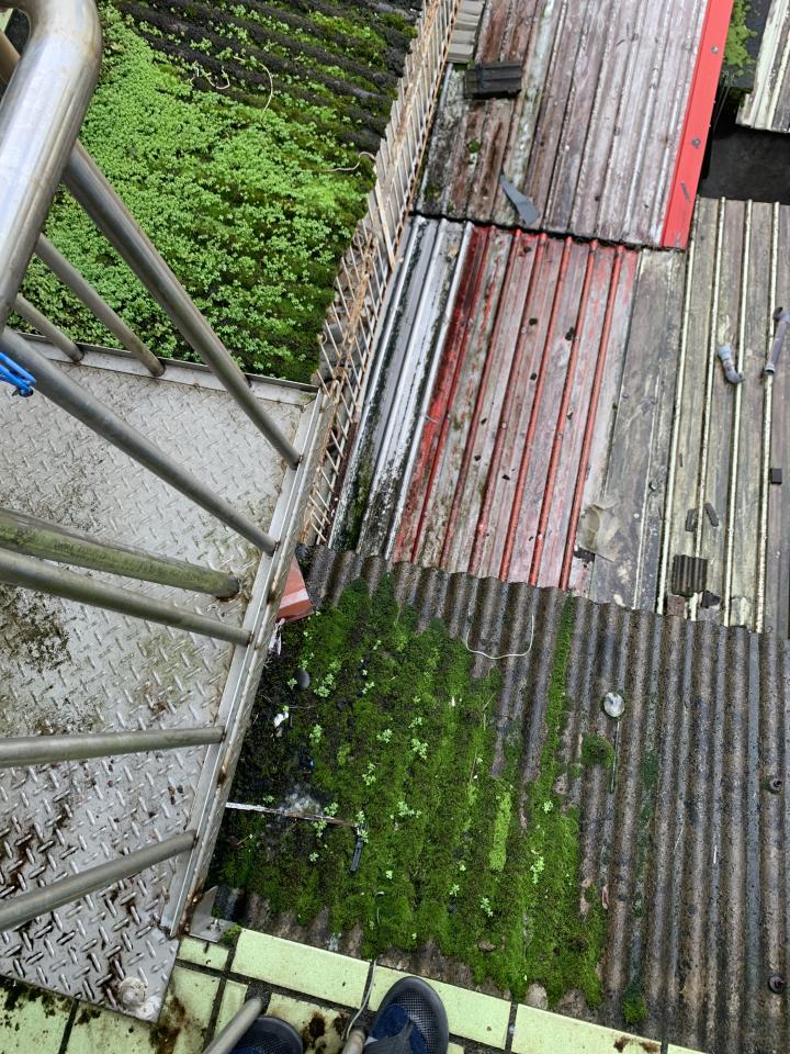 電梯安裝案件圖片