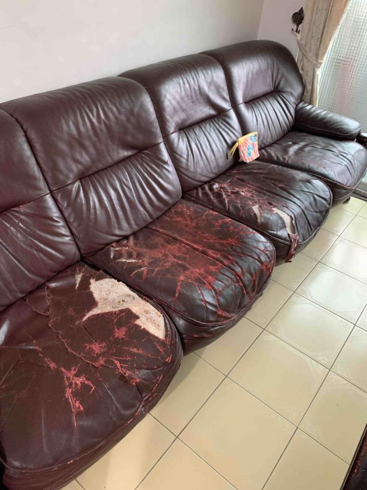 家具維修案件圖片