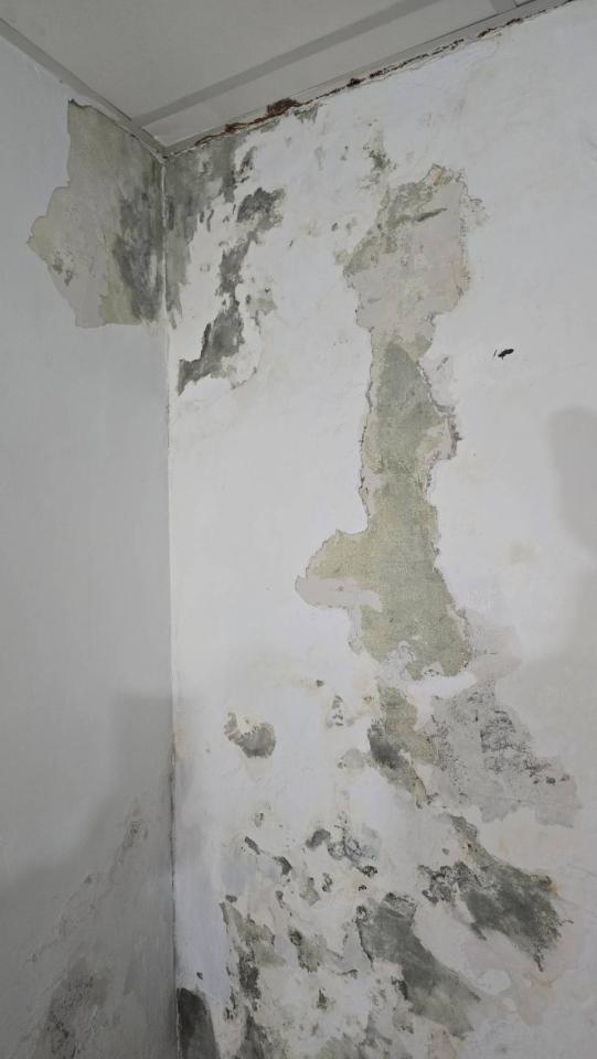 壁癌處理案件圖片