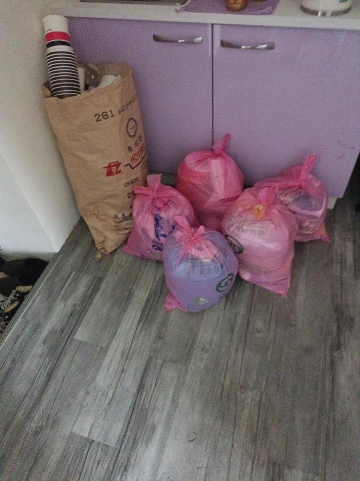 代收垃圾案件圖片