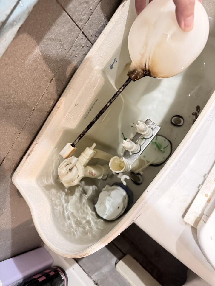 馬桶裝修案件圖片