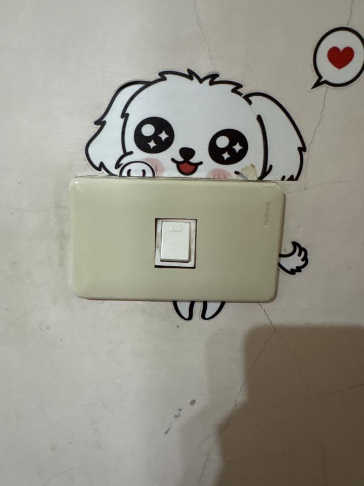 電線裝修案件圖片