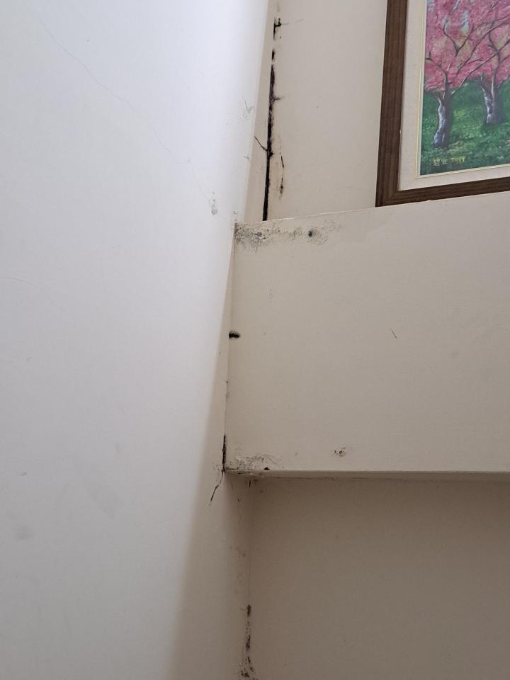 漏水處理案件圖片