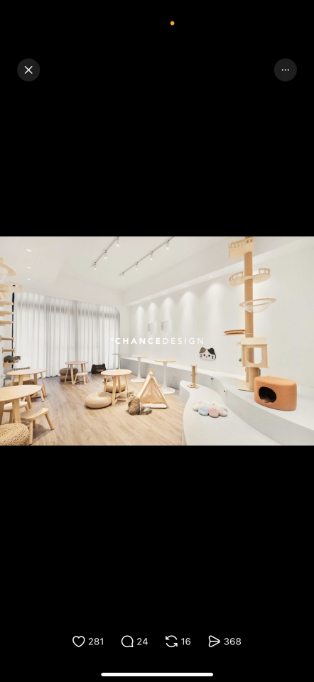 木工施工案件圖片