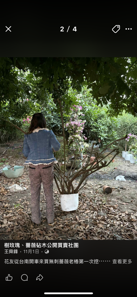 載貨運輸服務案件圖片