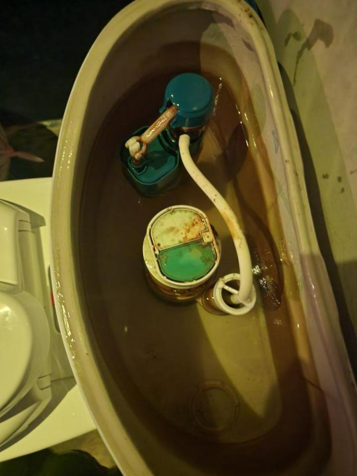 馬桶裝修案件圖片