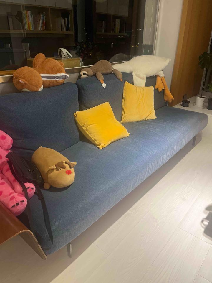 沙發清潔案件圖片