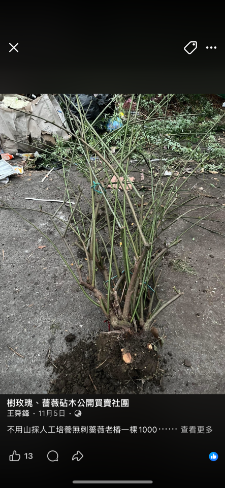 載貨運輸服務案件圖片