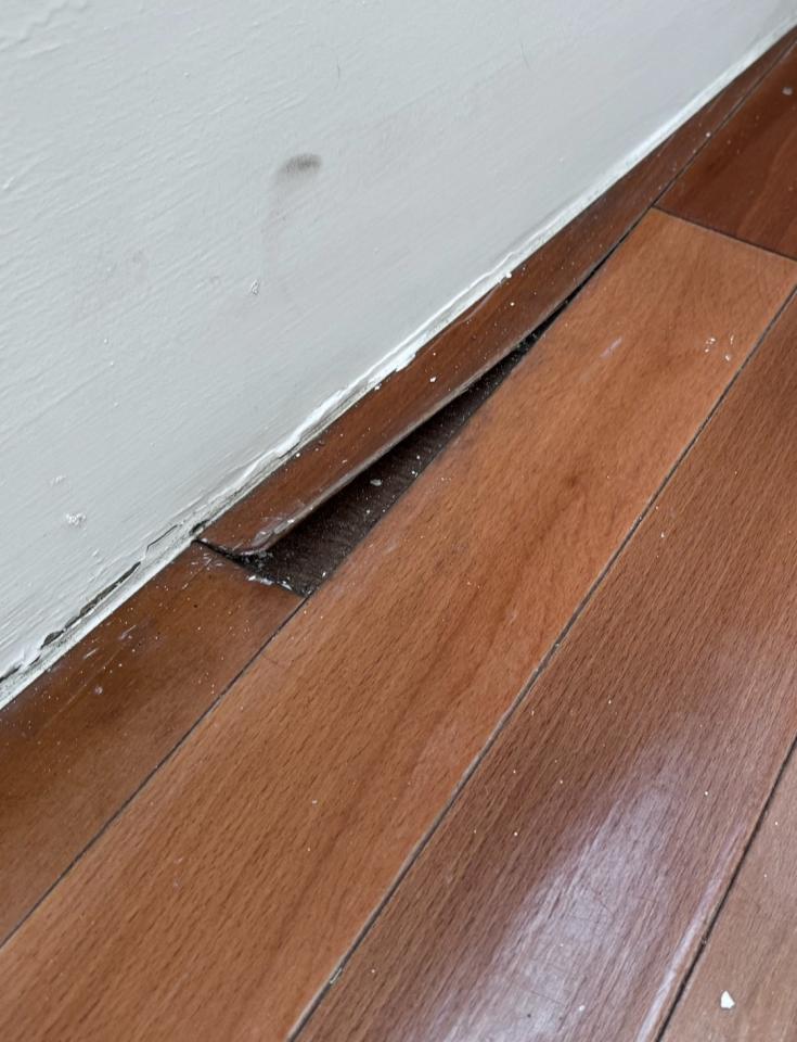 地板維修案件圖片