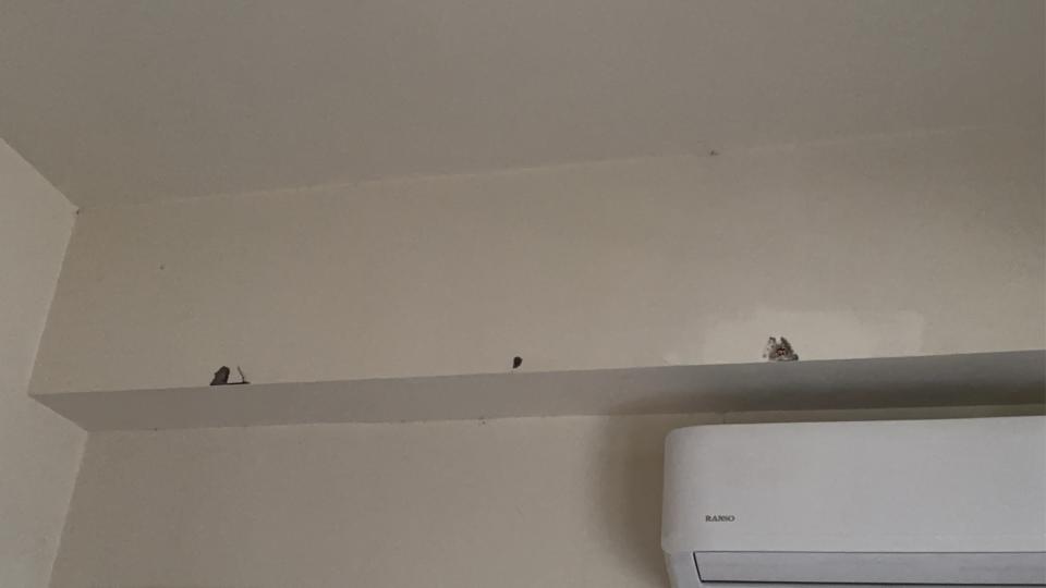 泥作/水泥施工案件圖片