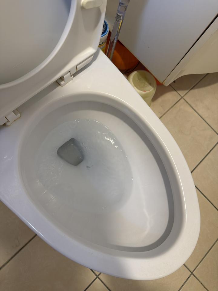 馬桶裝修案件圖片