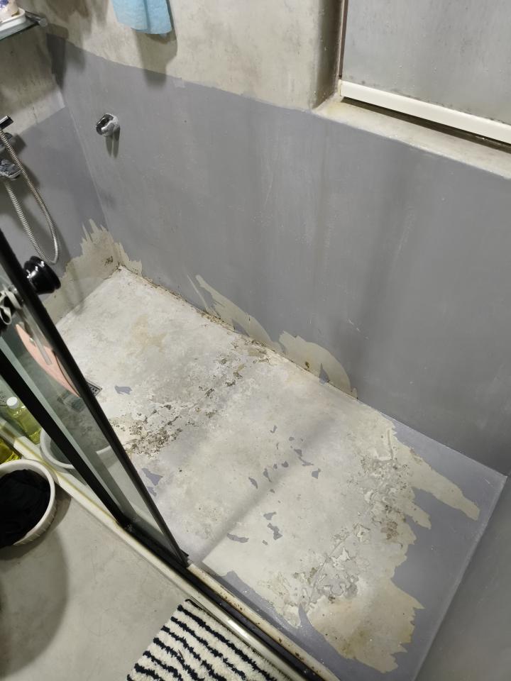 浴室翻新案件圖片