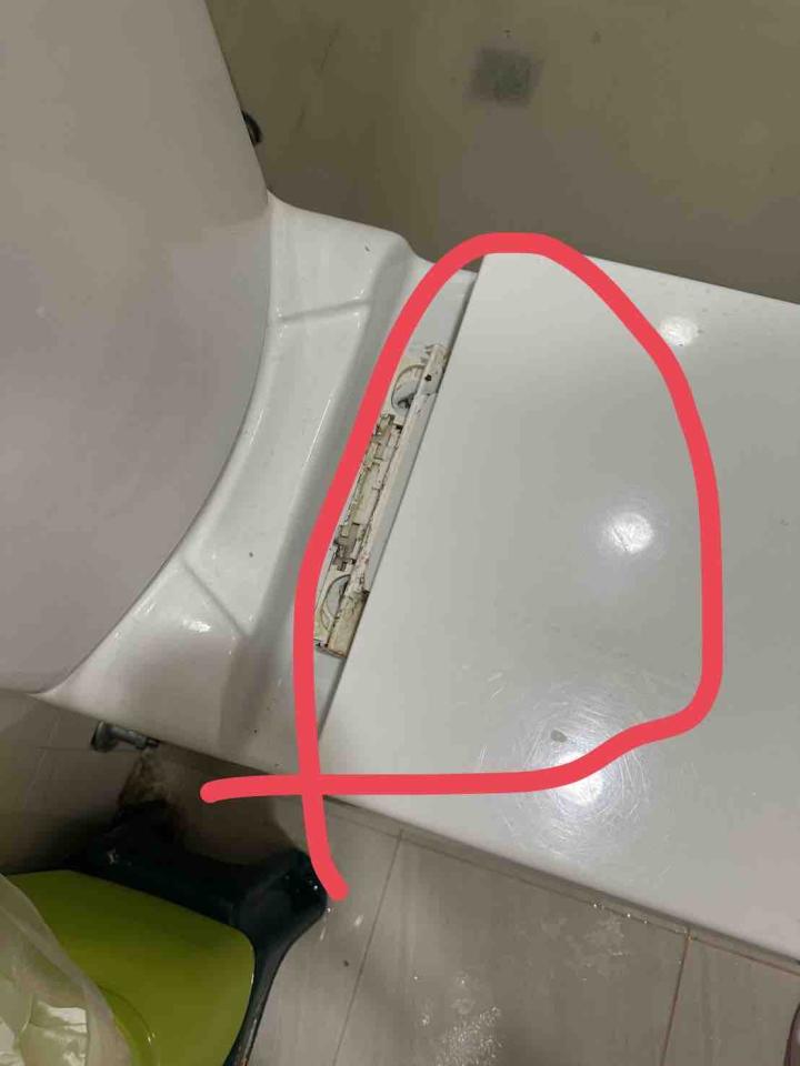 馬桶裝修案件圖片