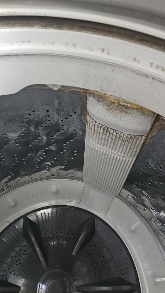 洗衣機清洗案件圖片