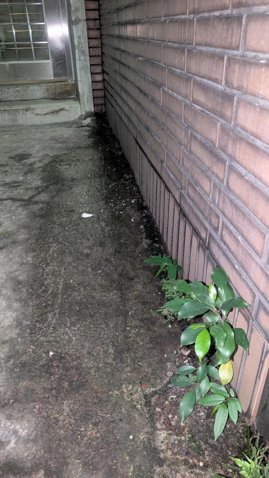 漏水處理案件圖片