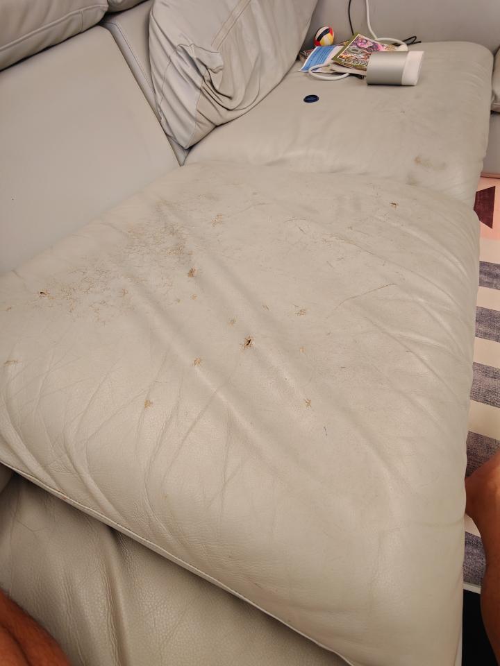 沙發修理案件圖片