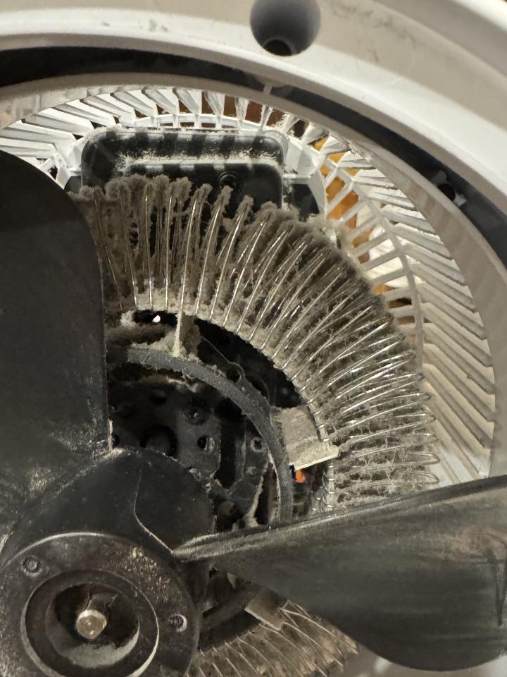 循環扇清洗案件圖片