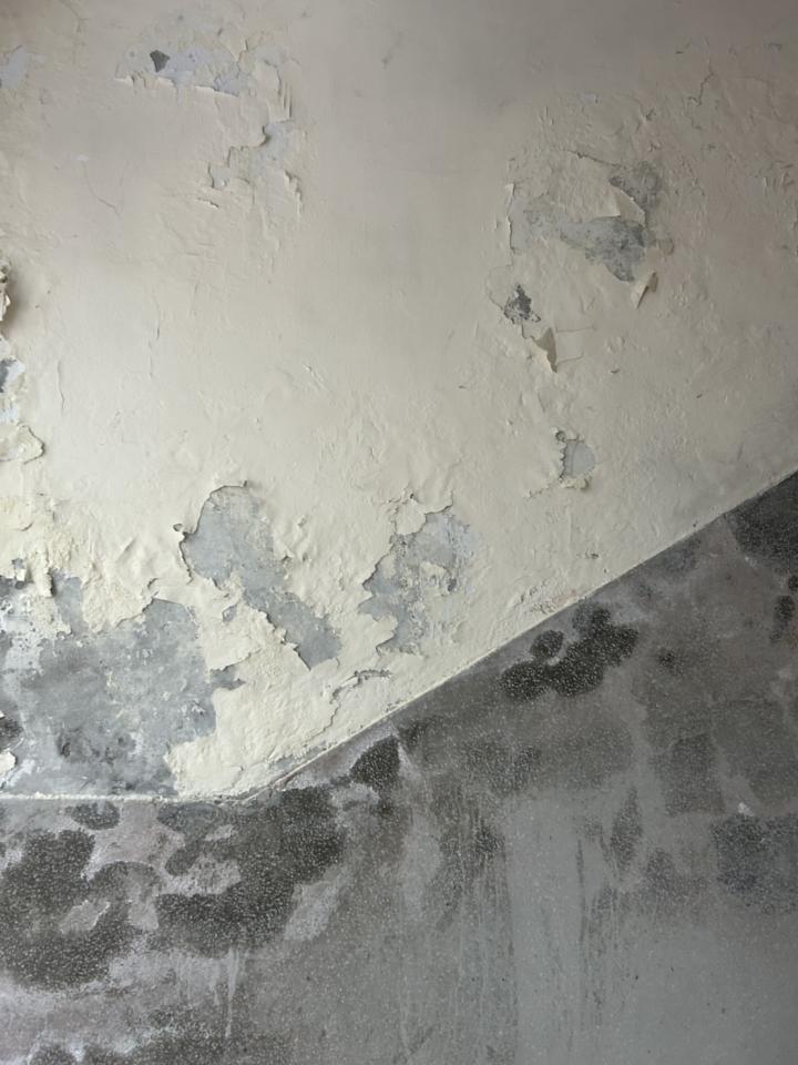 油漆工程案件圖片