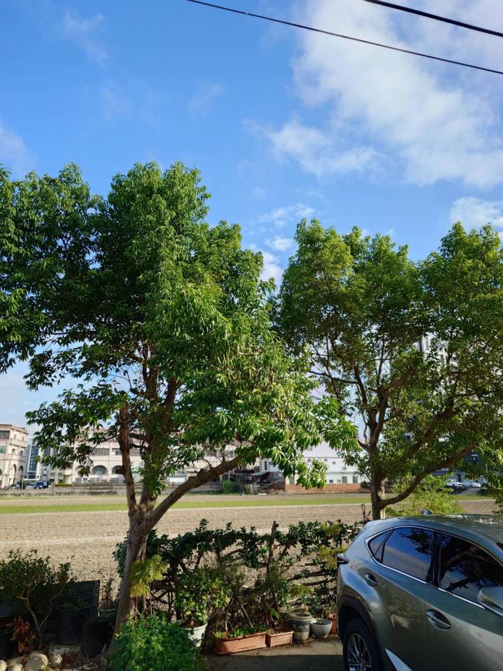 園藝維護案件圖片