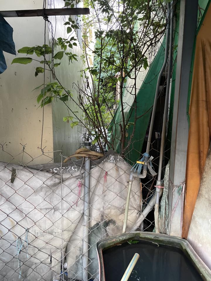 大型垃圾回收案件圖片