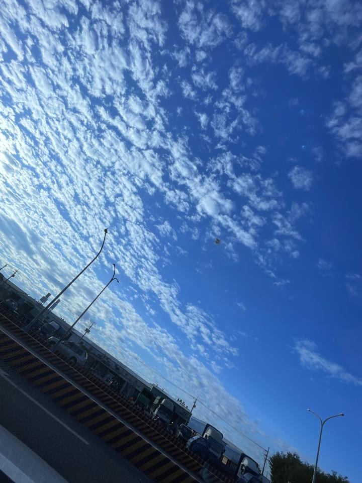 汽車玻璃修補案件圖片