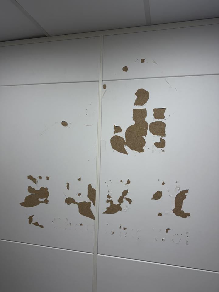 壁紙施工案件圖片