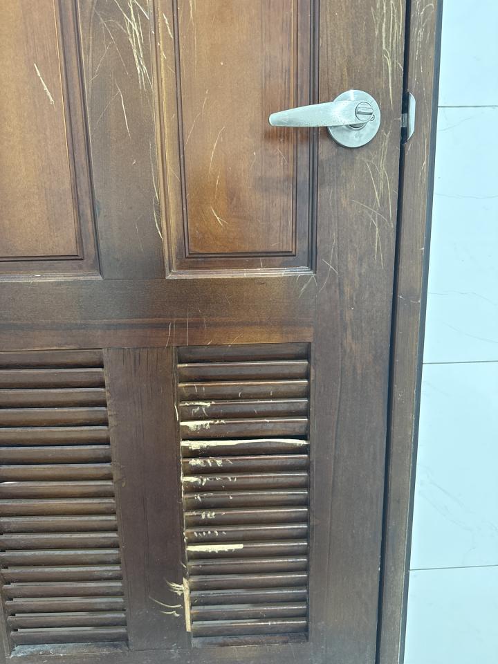 木工施工案件圖片