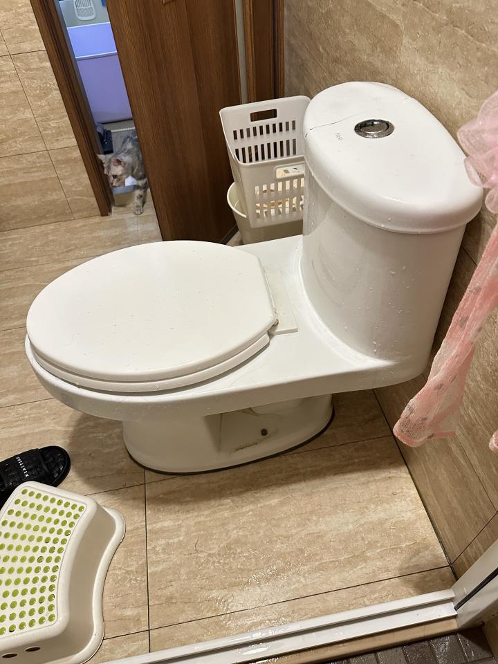 馬桶裝修案件圖片