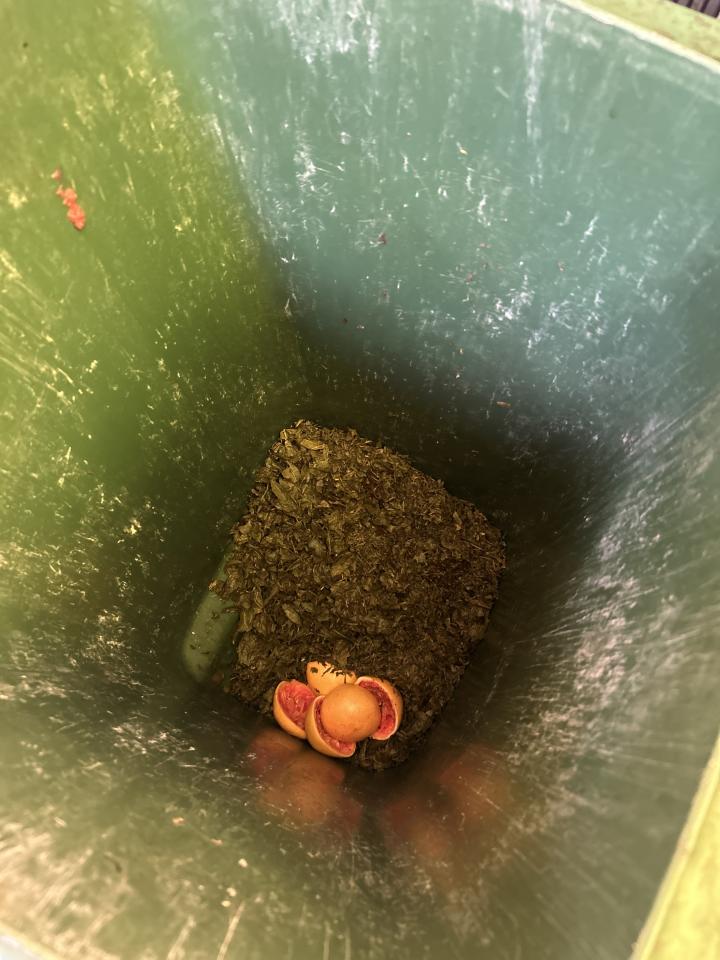 廚餘回收案件圖片