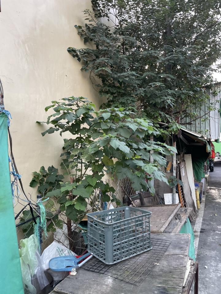 大型垃圾回收案件圖片