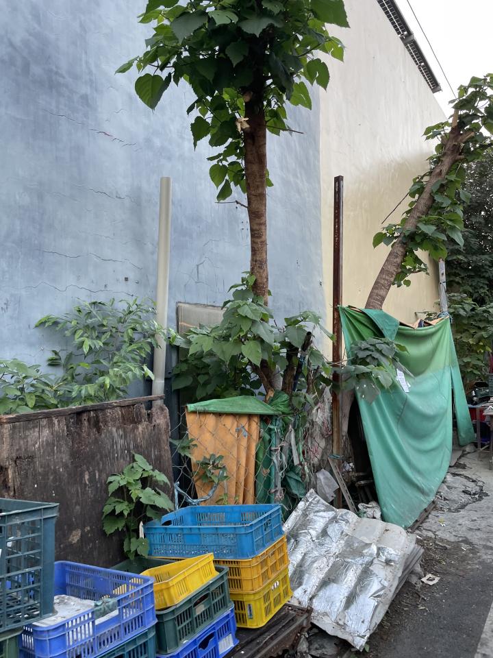 大型垃圾回收案件圖片