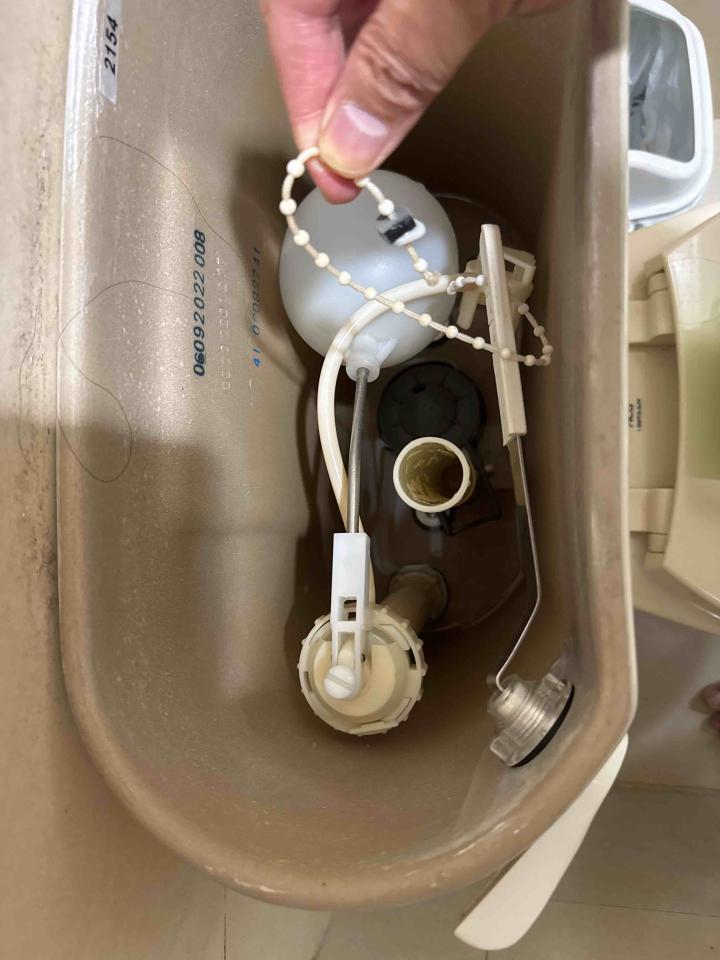 馬桶裝修案件圖片