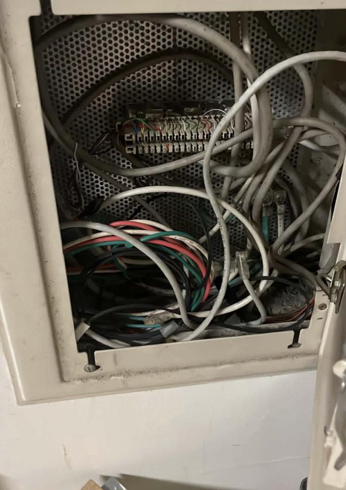 拉網路線案件圖片