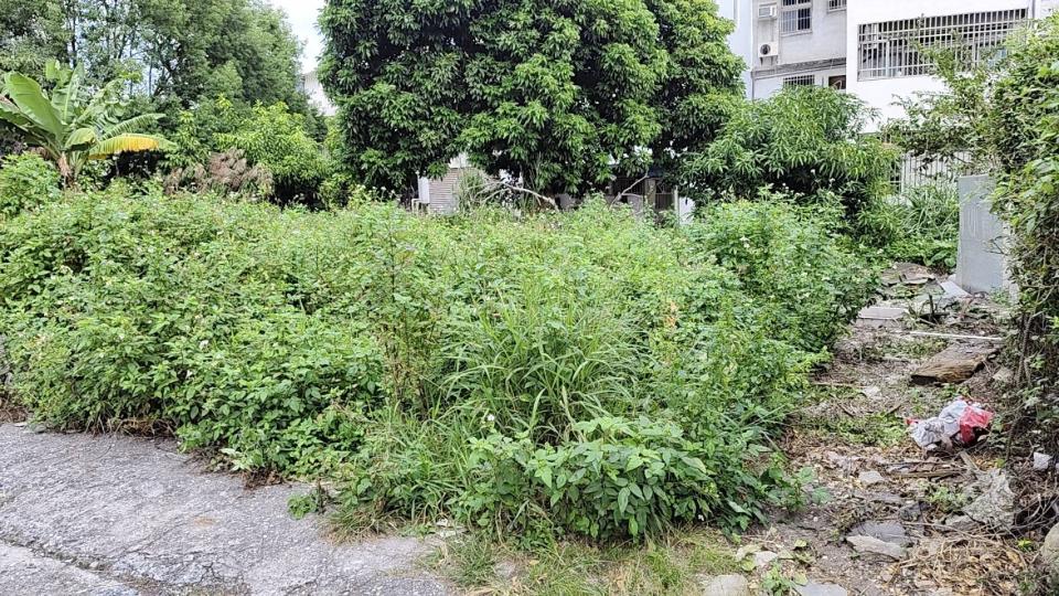 園藝維護案件圖片