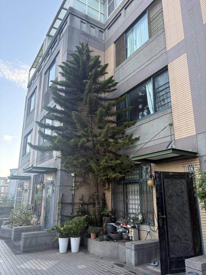 園藝維護案件圖片