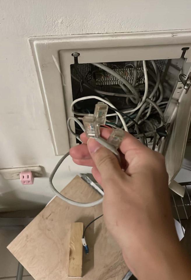 拉網路線案件圖片