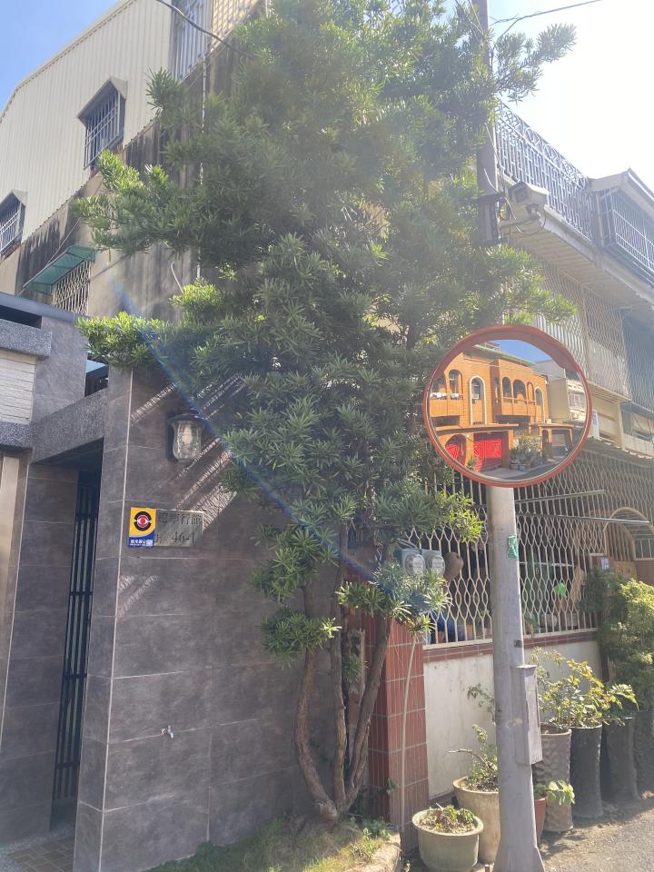 園藝維護案件圖片