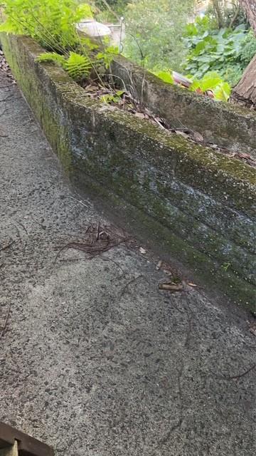 圍籬工程案件圖片